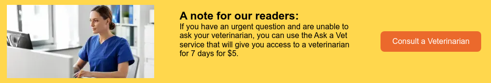consult with a veterinarian wide