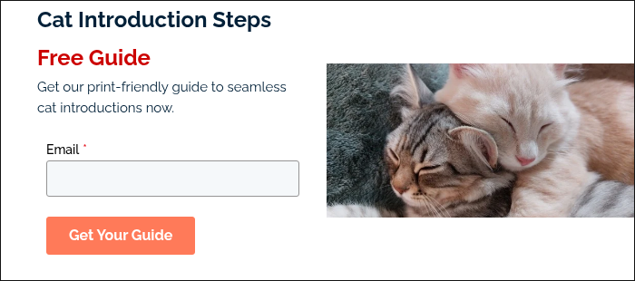 Cat Introduction Steps Free Guide Get our print-friendly guide to seamless cat introductions now. &nbsp;