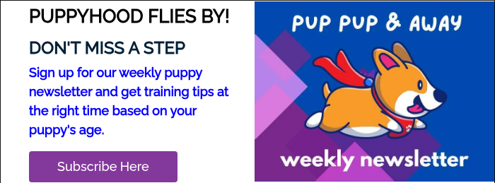 PUPPYHOOD FLIES BY! DON'T MISS A STEP Sign up for our weekly puppy newsletter and get training tips at the right time based on your puppy's age. &nbsp;