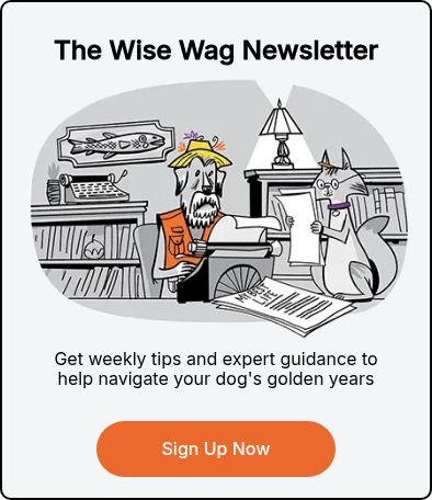 The Wise Wag Newsletter