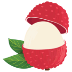 lychee fruit
