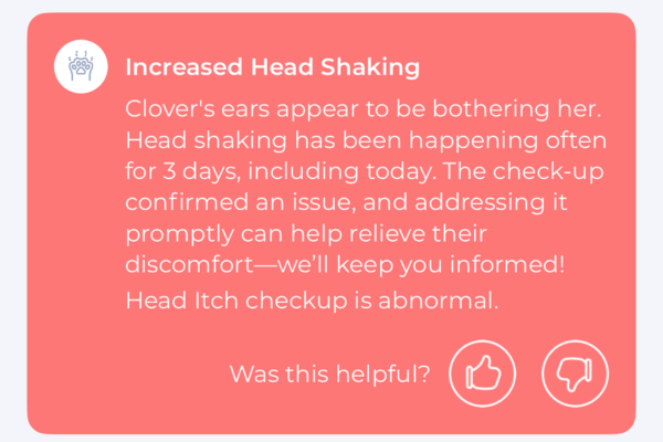Maven-head-shaking-issue