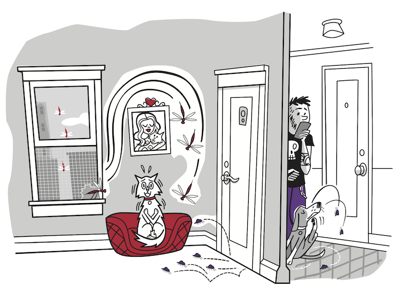 mosquitos-fleas illustration-PV