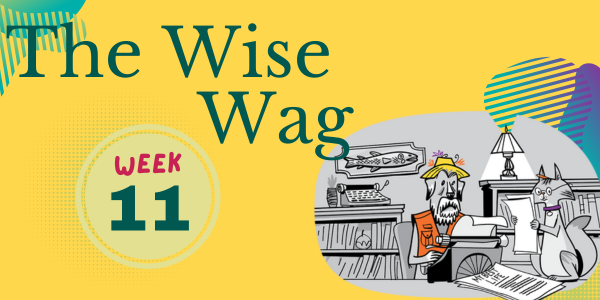 senior journey week 11 header