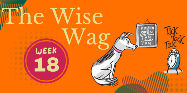 senior journey week 18 header