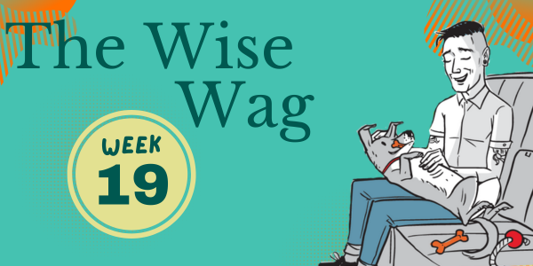 senior journey week 19 header