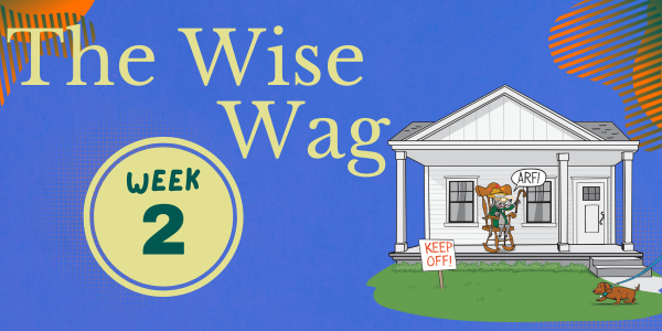 senior journey week 2 header