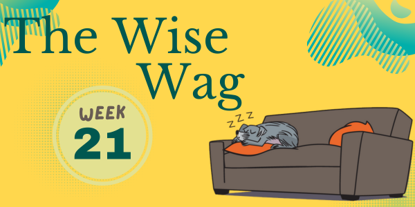 senior journey week 21 header