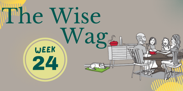 senior journey week 24 header