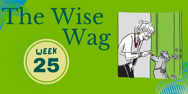 senior journey week 25 header