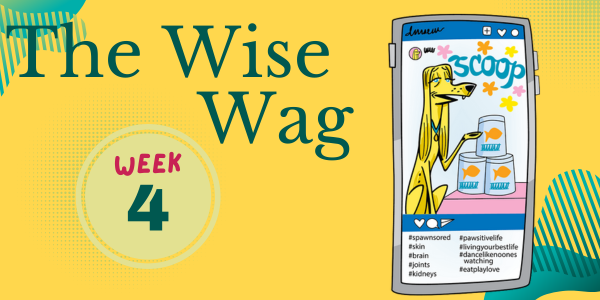 senior journey week 4 header