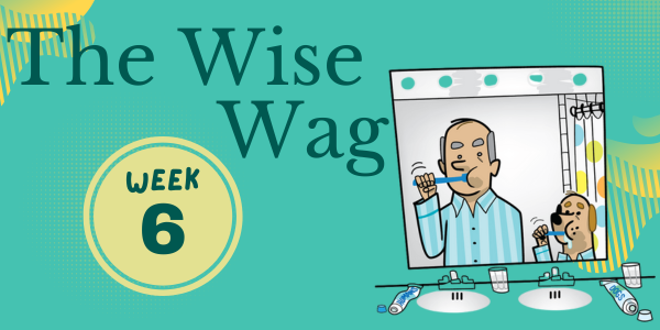 senior journey week 6 header