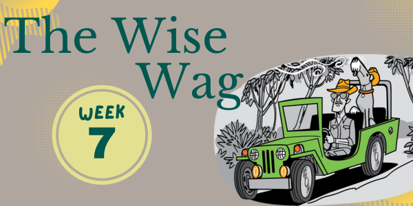 senior journey week 7 header