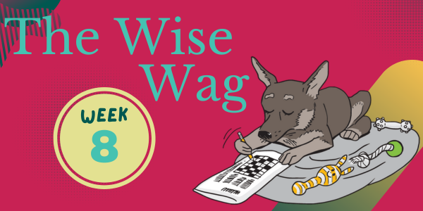 senior journey week 8 header