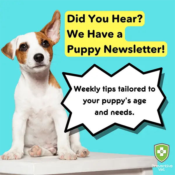 subscribe and follow your puppy's development subscribe and follow your puppy's development